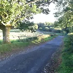 The Plain View *