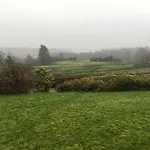 The Plain View * Boyle