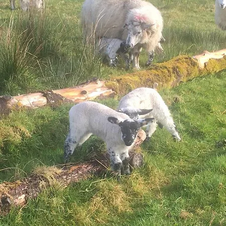 Сasa de vacaciones The Plain View