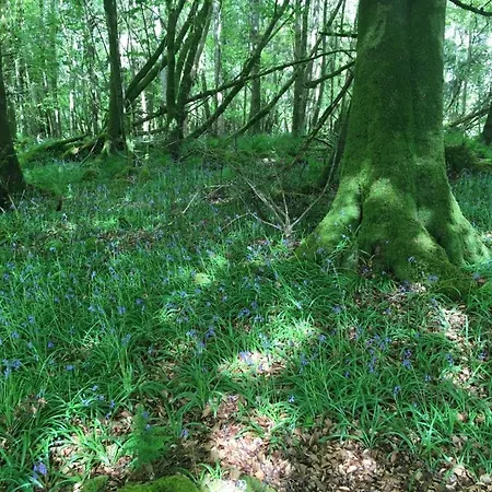 The Plain View Vakantiehuis