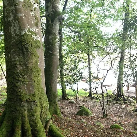 The Plain View Vakantiehuis Boyle