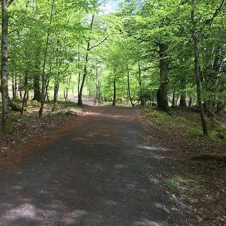 بيت للعطل The Plain View *