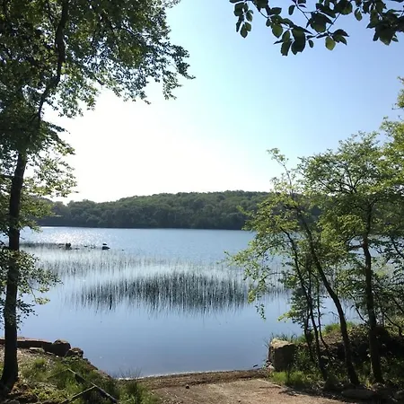 The Plain View بويل