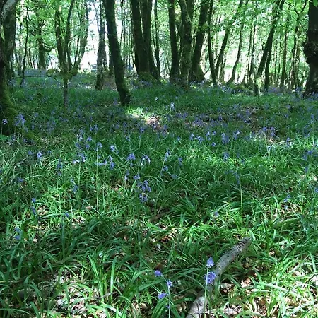 The Plain View Vakantiehuis