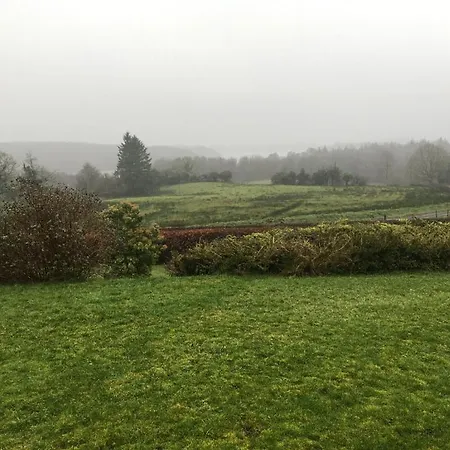 The Plain View * بويل