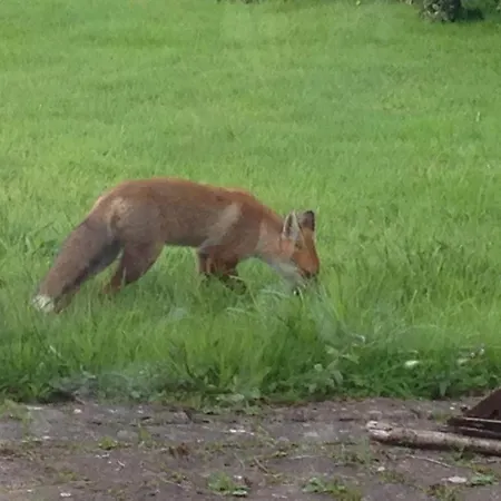 The Plain View بيت للعطل بويل