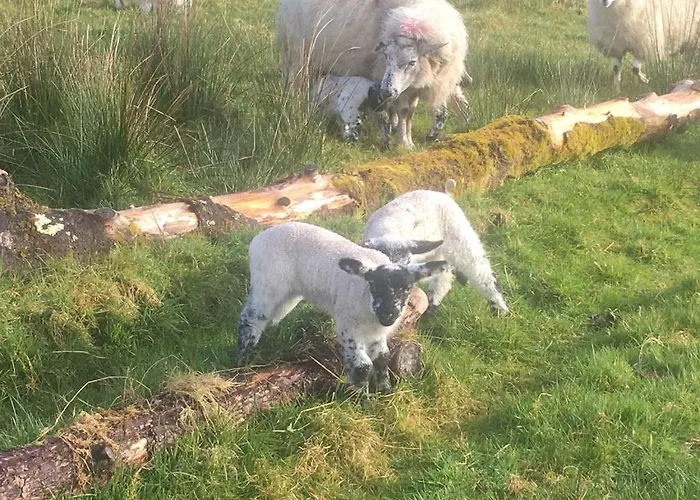 Сasa de vacaciones The Plain View