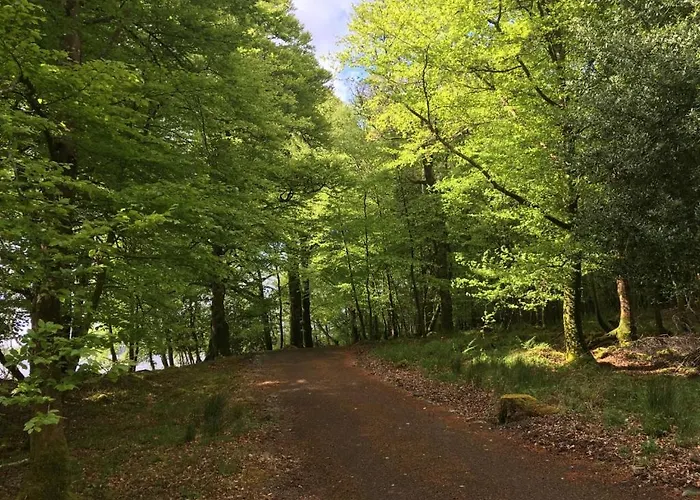 The Plain View 度假居 波伊尔