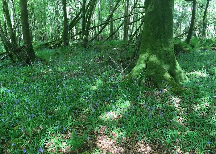 The Plain View Сasa de vacaciones