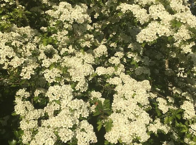 The Plain View Сasa de vacaciones *