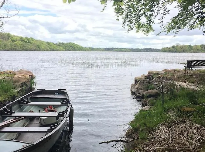 The Plain View * Boyle