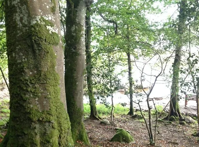 The Plain View 度假居 波伊尔