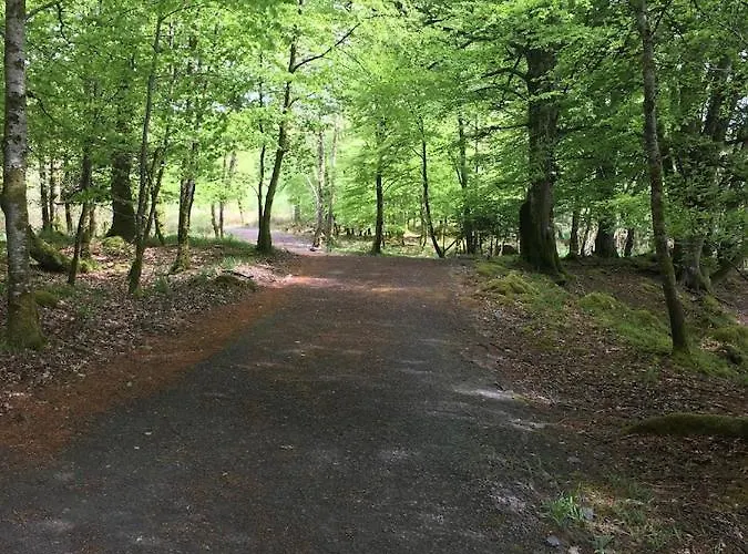 Сasa de vacaciones The Plain View *