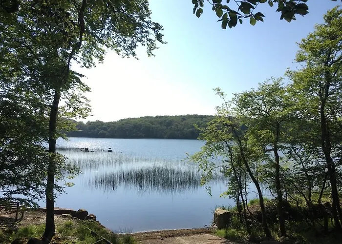 The Plain View Boyle