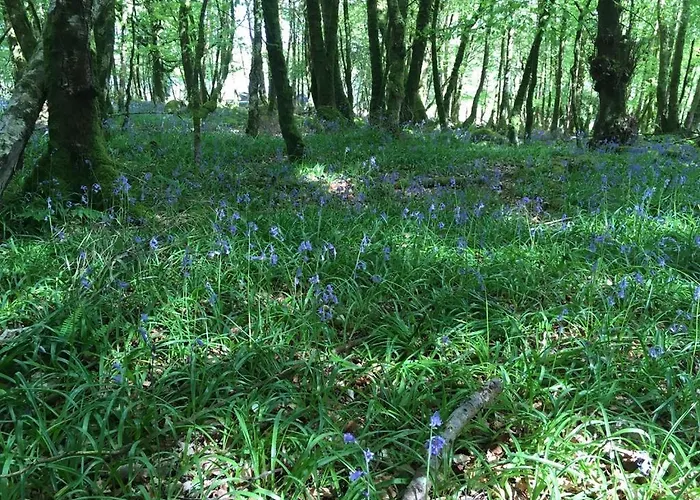 The Plain View 度假居