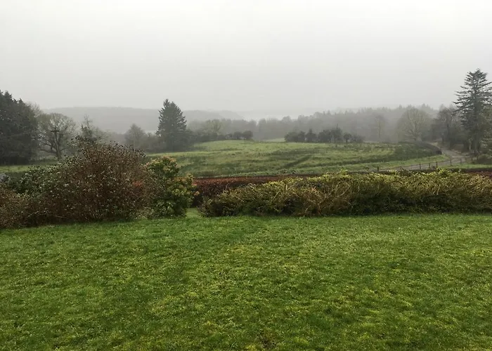 The Plain View * Boyle