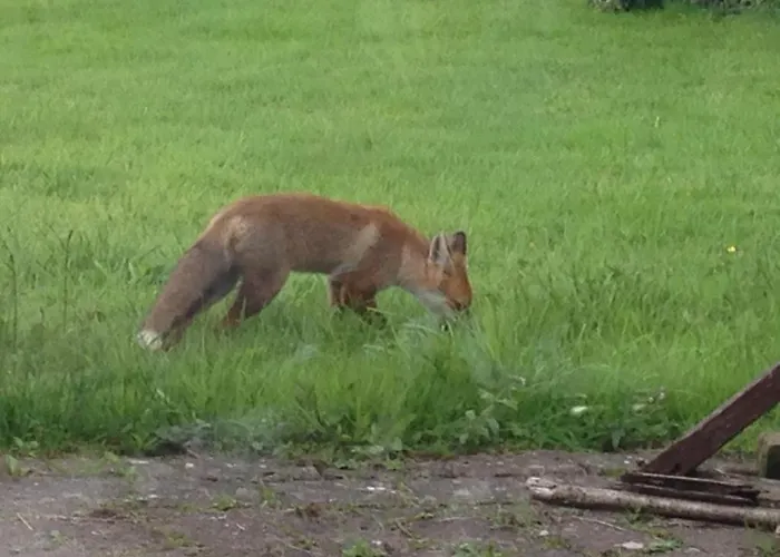 The Plain View 度假居 波伊尔
