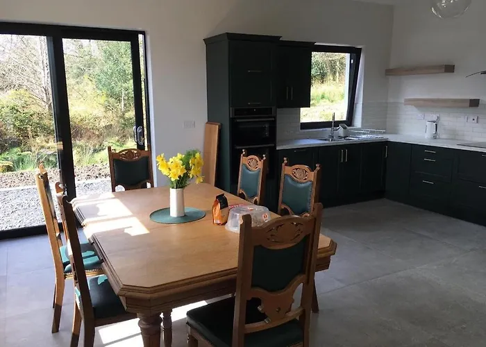 The Plain View * Boyle